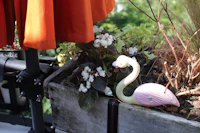 a flamingo sitting in a planter next to an umbrella