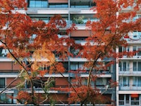an apartment building with red leaves in front of it